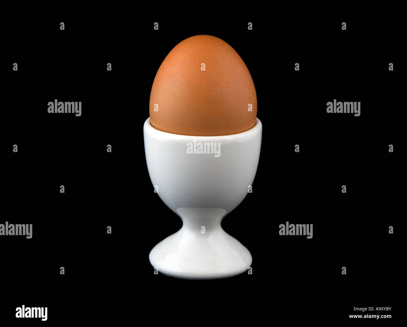 Brown egg in white egg cup Stock Photo