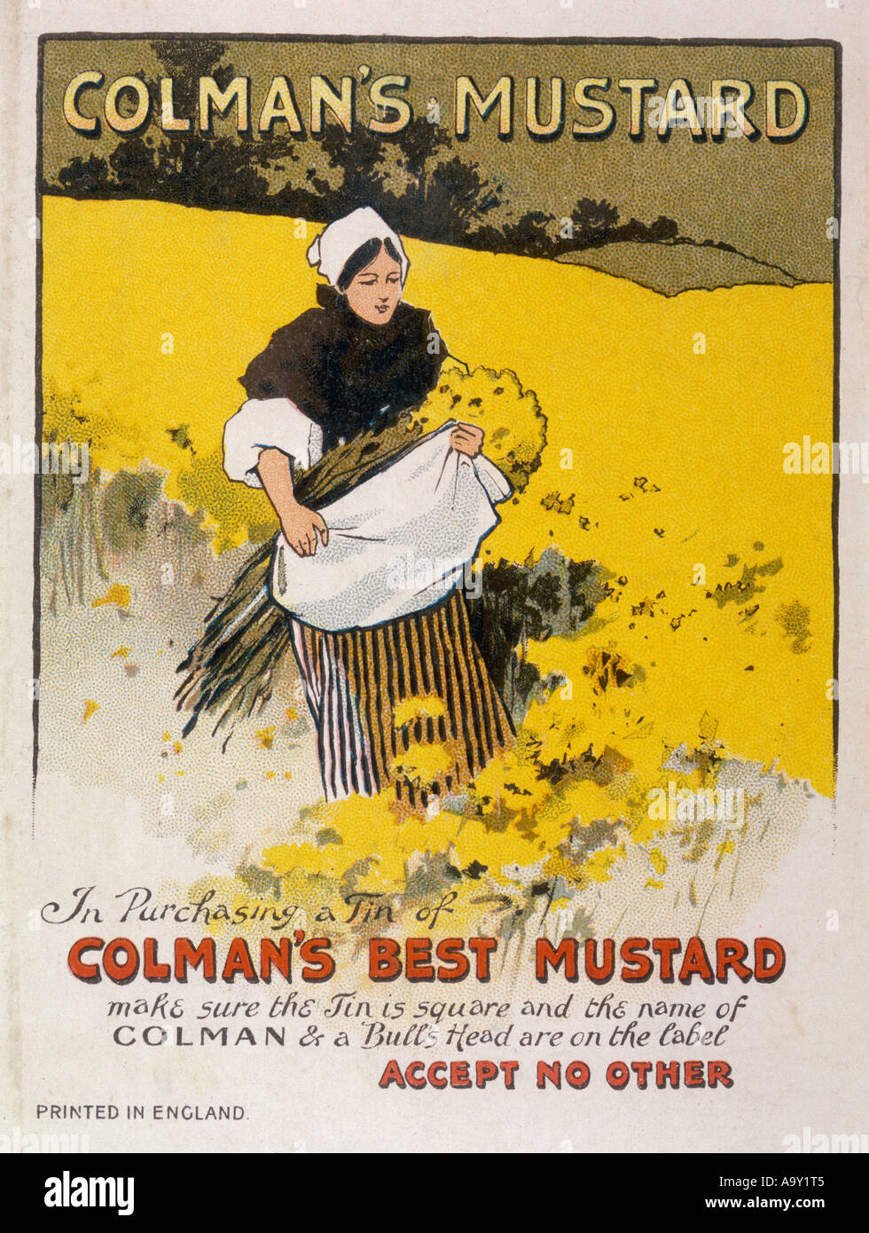 a2u  Ephemera 1899 Advert Colman Colman’s Mustard Bull’s Head Royal Kitchens 