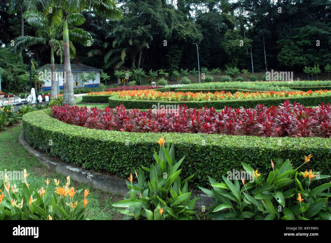 Flower Garden In Malaysia Stock Photo Alamy