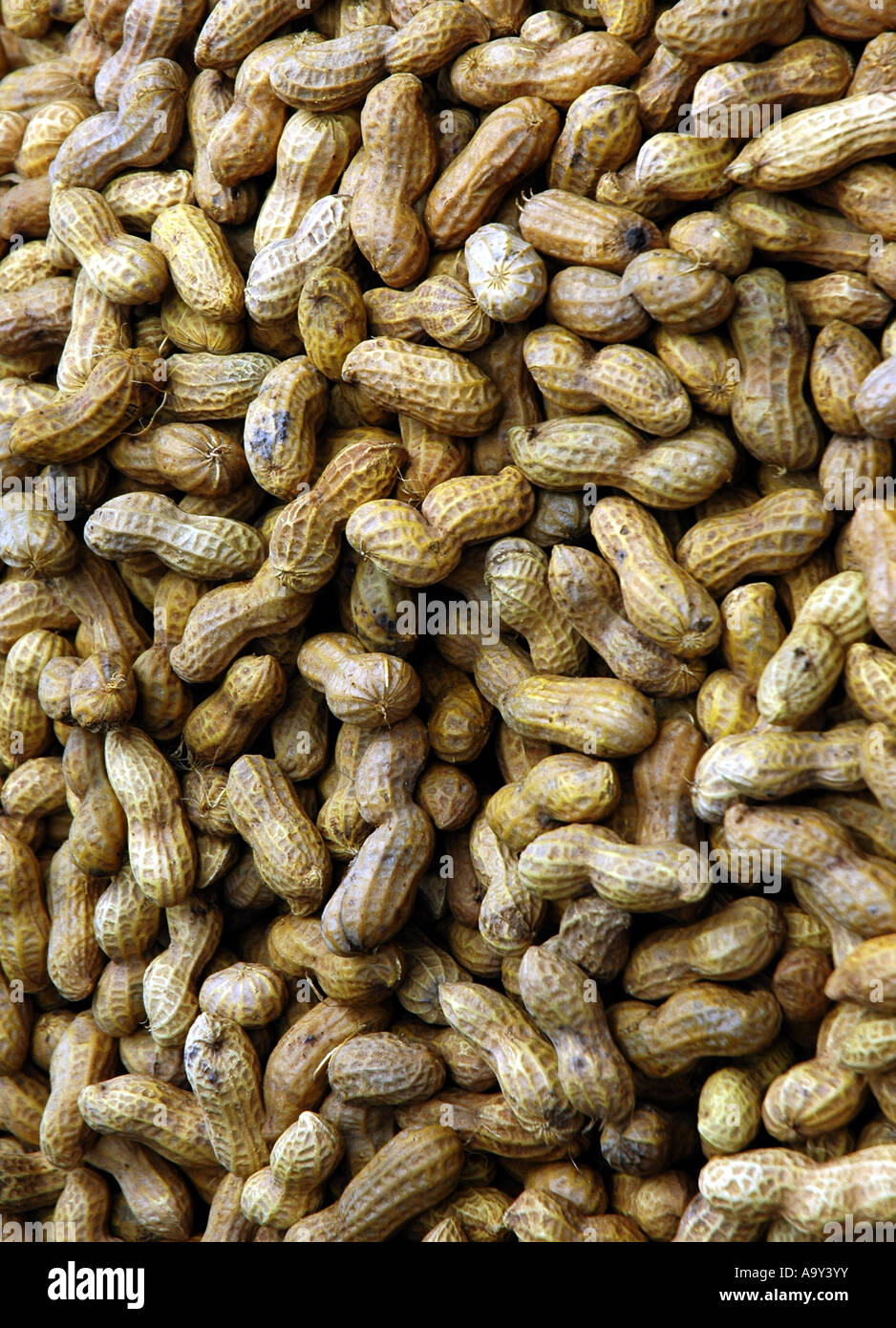 Peanuts in shell Stock Photo - Alamy