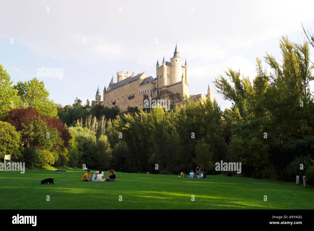 A park with Castle rising above the tree tops Stock Photo - Alamy