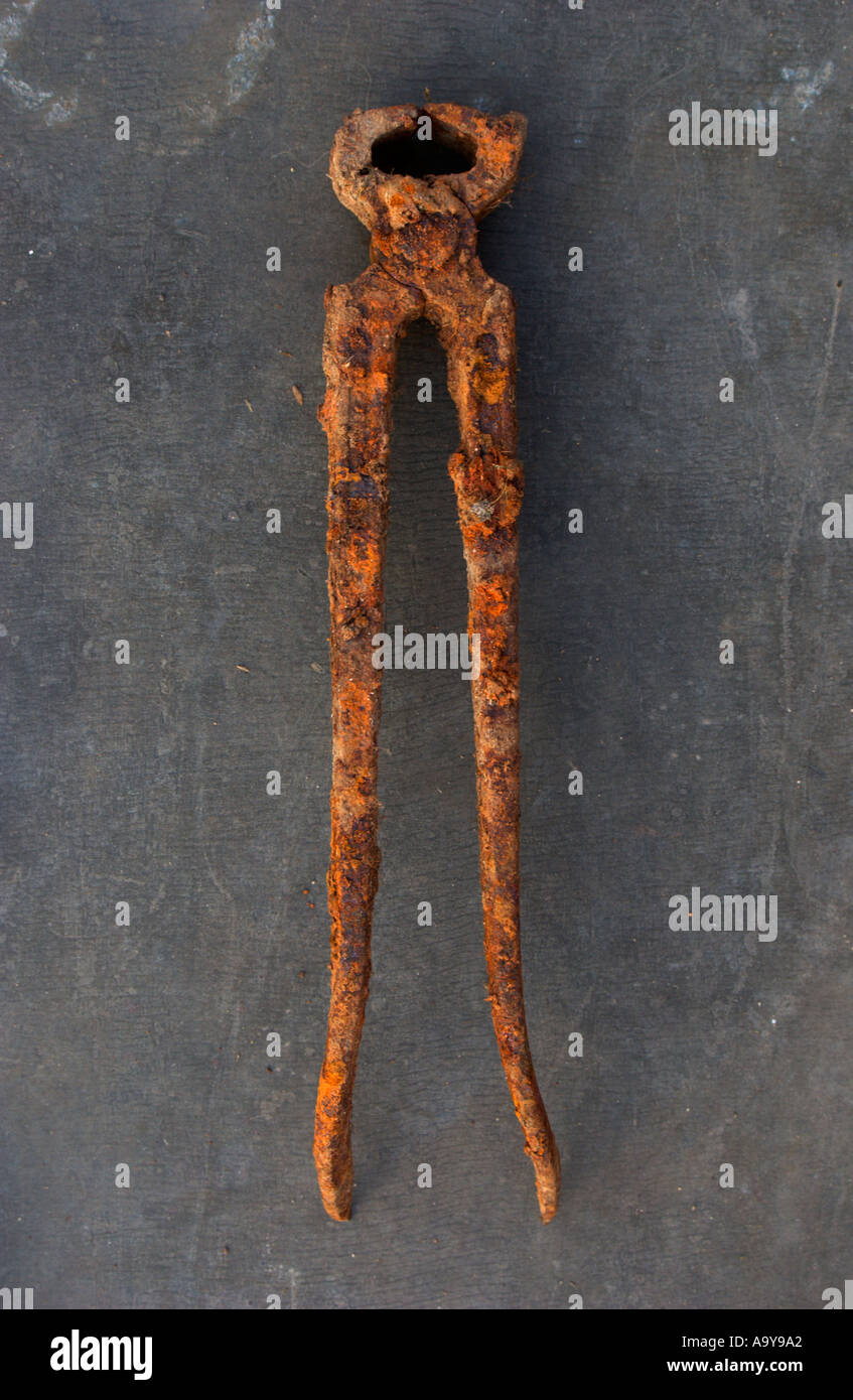 rusty pliers Stock Photo