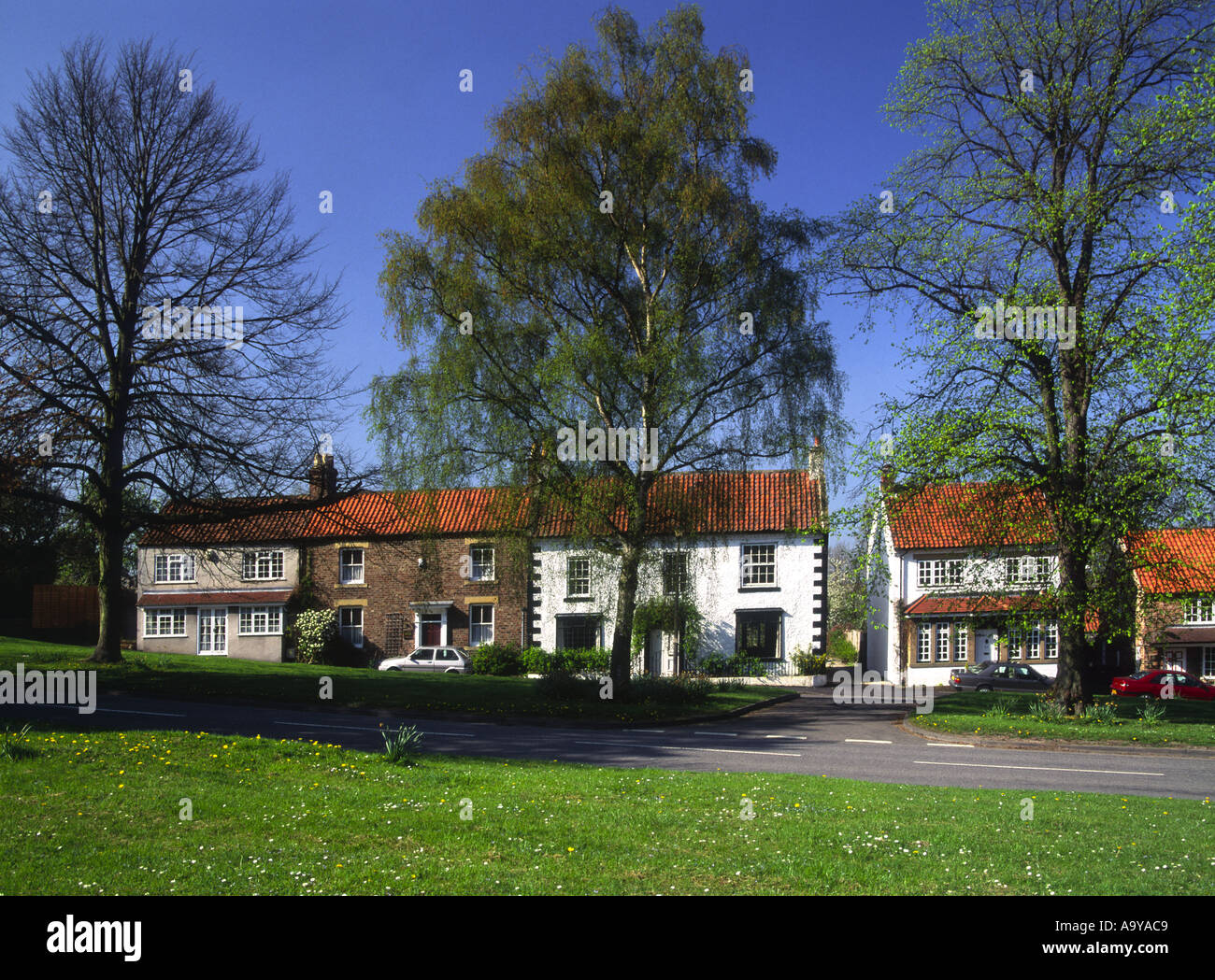North side Hutton Rudby North Yorkshire Stock Photo Alamy