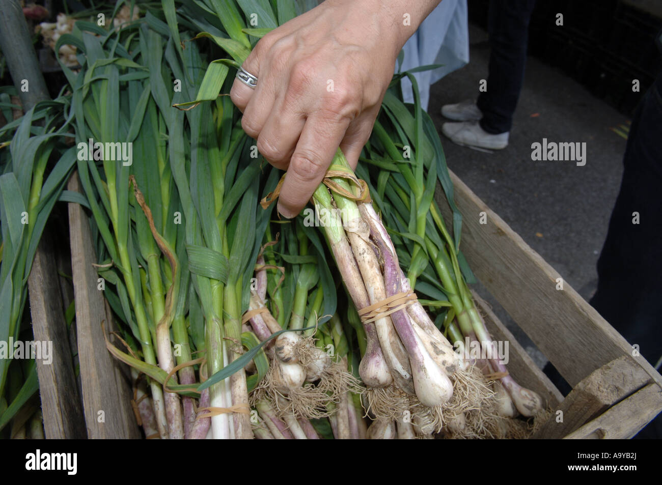 Green garlic at the Union Square Greenmarket Stock Photo