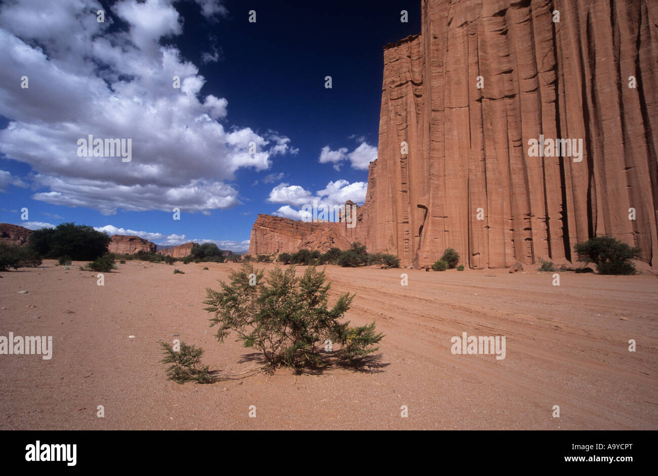 Red rock canyon in Talampaya National Park, Argentina Stock Photo