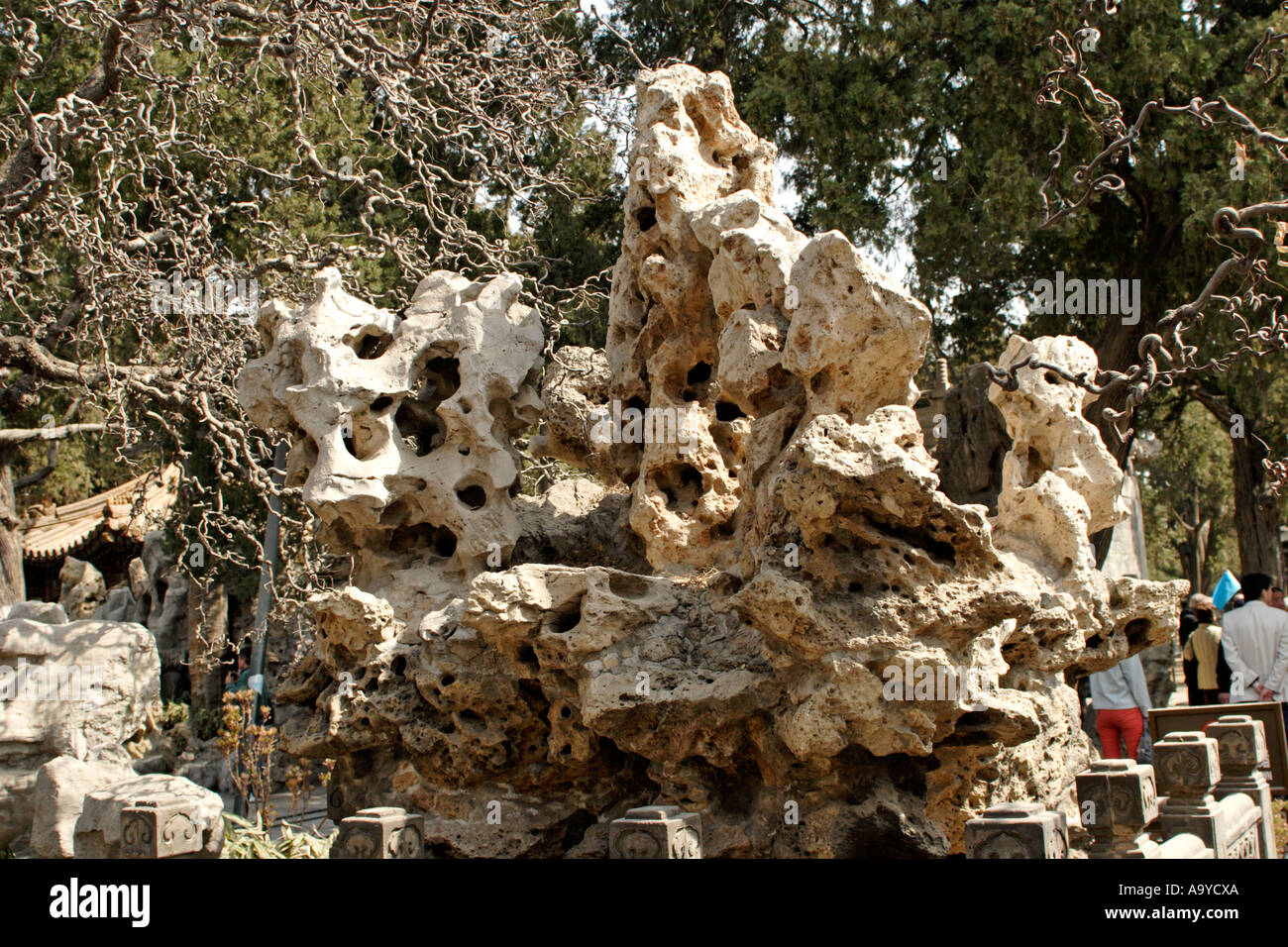 Rocks in Imperial Gardens Forbidden City Beijing China Stock Photo - Alamy