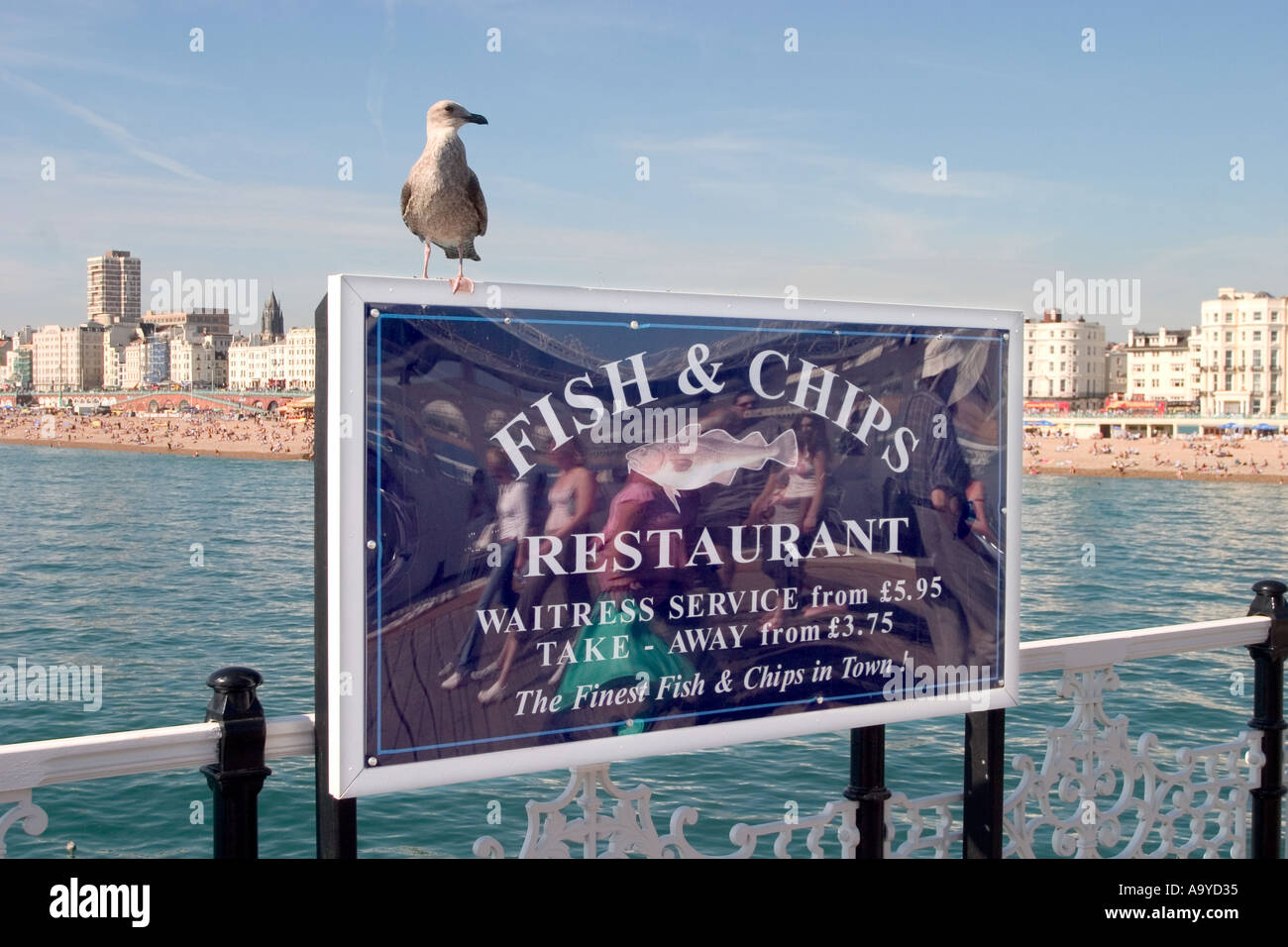 Seagull Chips Stock Photos & Seagull Chips Stock Images Alamy