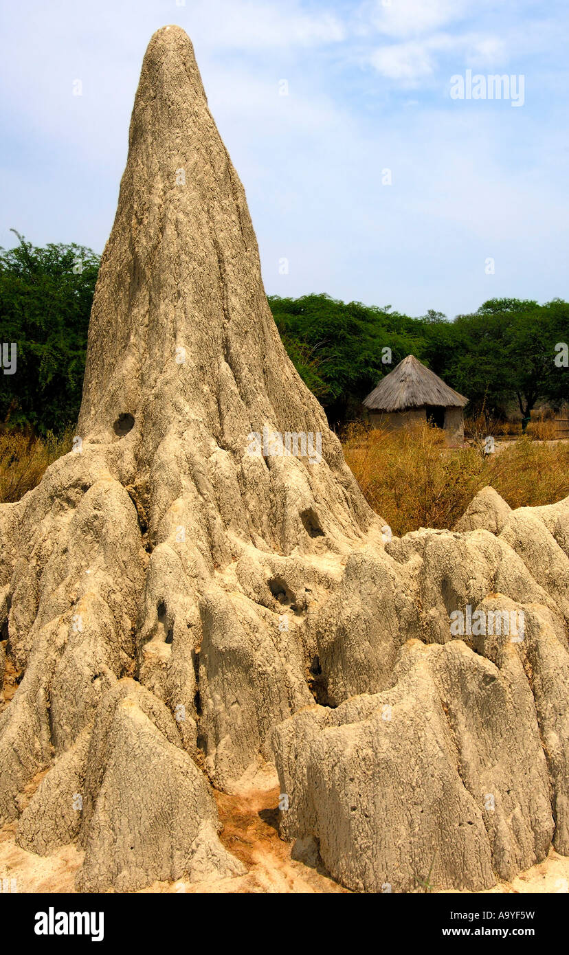 Termite mound and local hut, Daunara village, Botswana Stock Photo