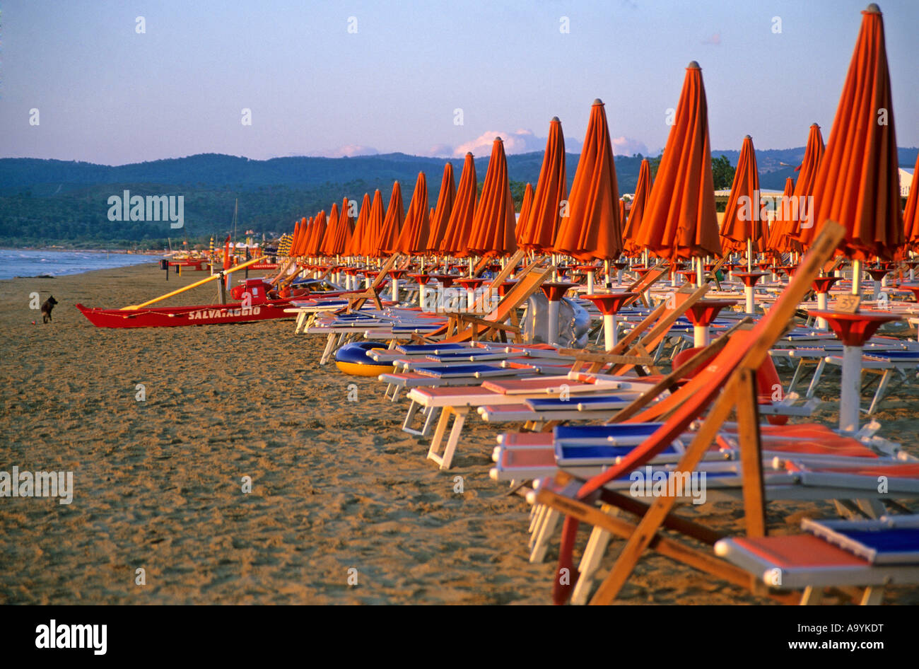 Empty sunloungers on the beach of Vieste, Gargano, Apulia, Italy Stock Photo