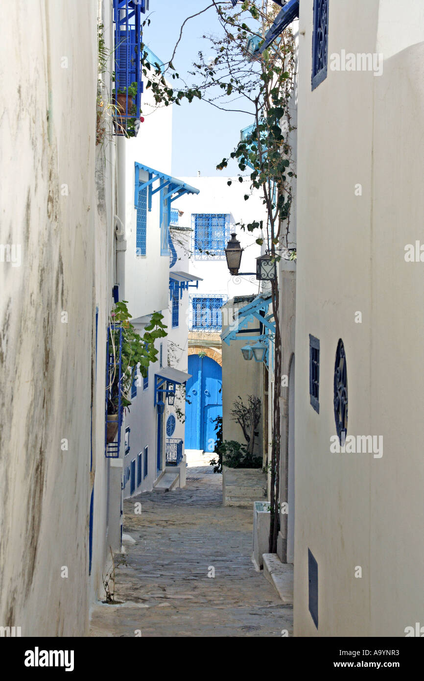 A typical street in the Tunisian Village of Sidi Bou Said Blue White