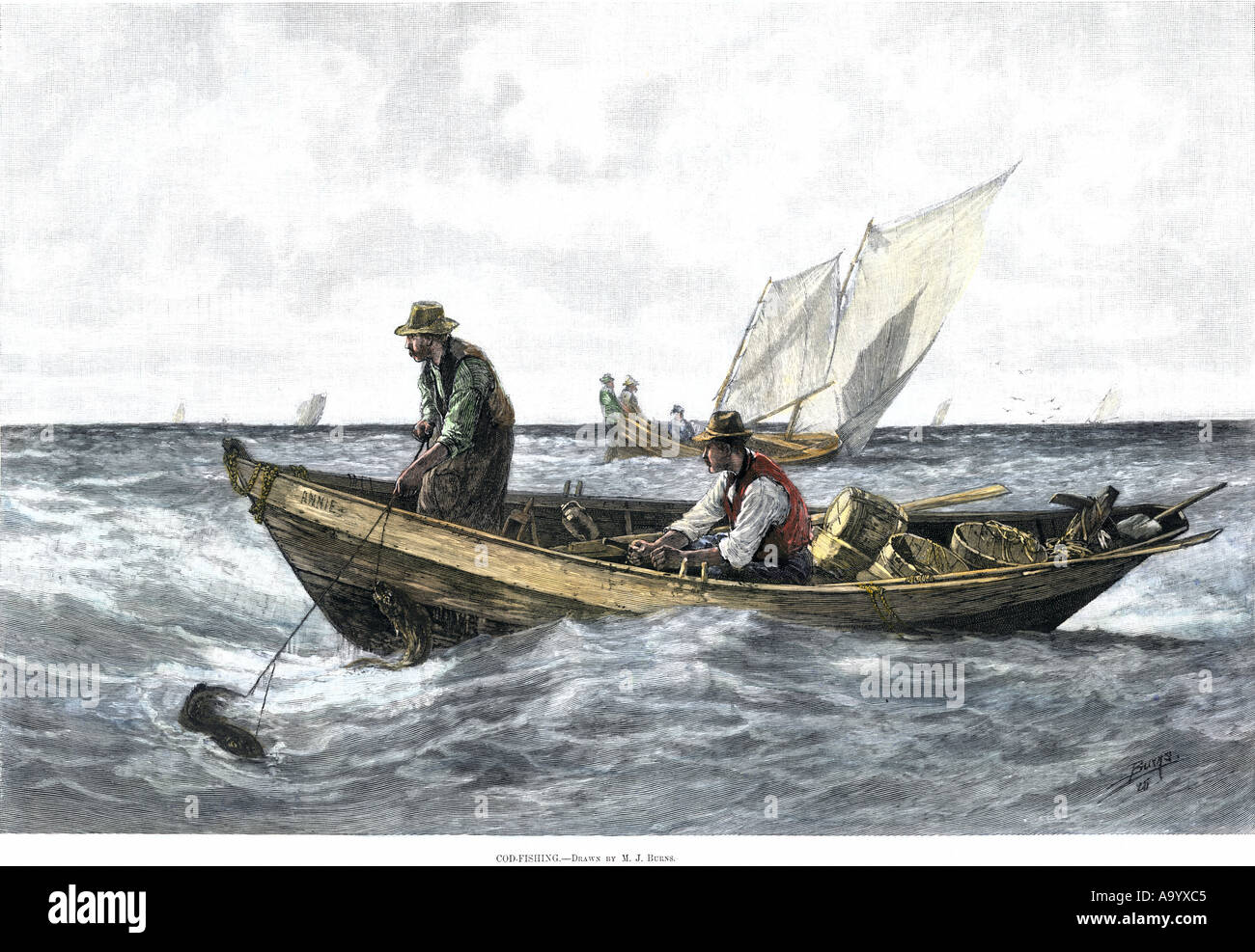 Cod Fishing Ship North Atlantic cod fishing in the 1880s. Hand-colored woodcut Stock ...