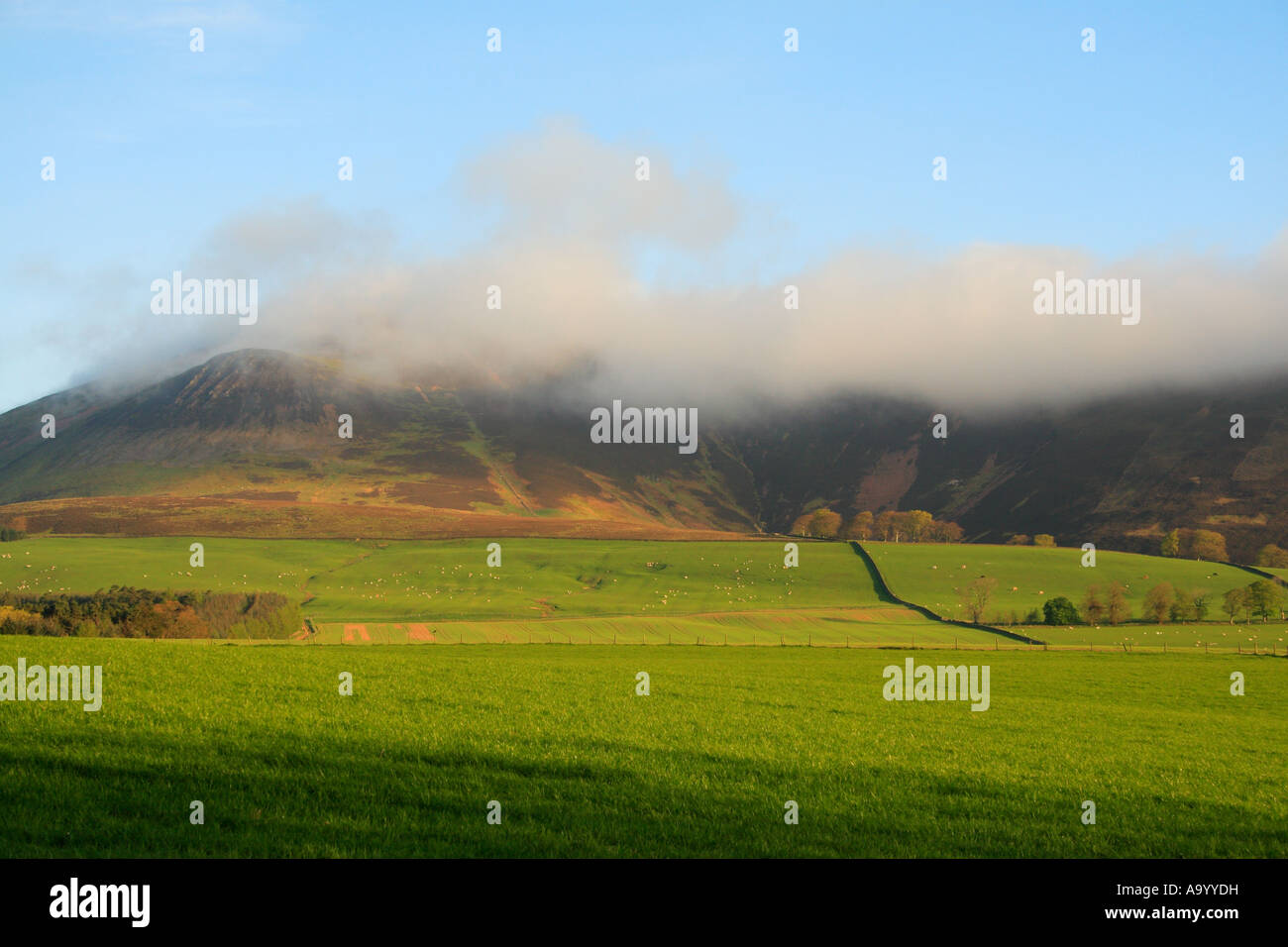 Tinto Hill - All You Need to Know BEFORE You Go (with Photos)