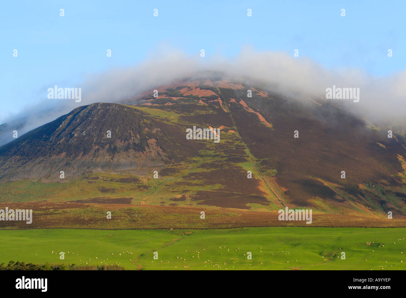 misty-tinto-hill-in-lanarkshire-scotland-the-hill-of-fire-stock-photo