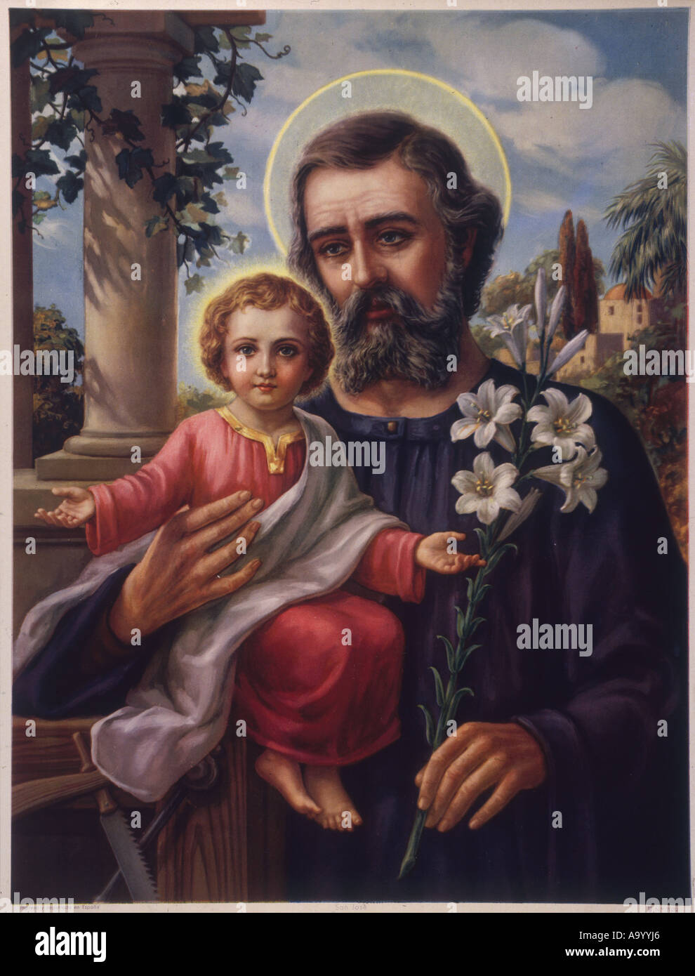 Saint joseph lily hires stock photography and images Alamy