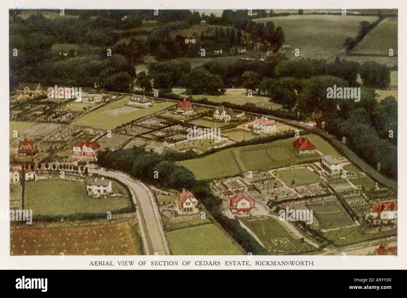 Cedars Estate Rickmanswh Stock Photo Alamy