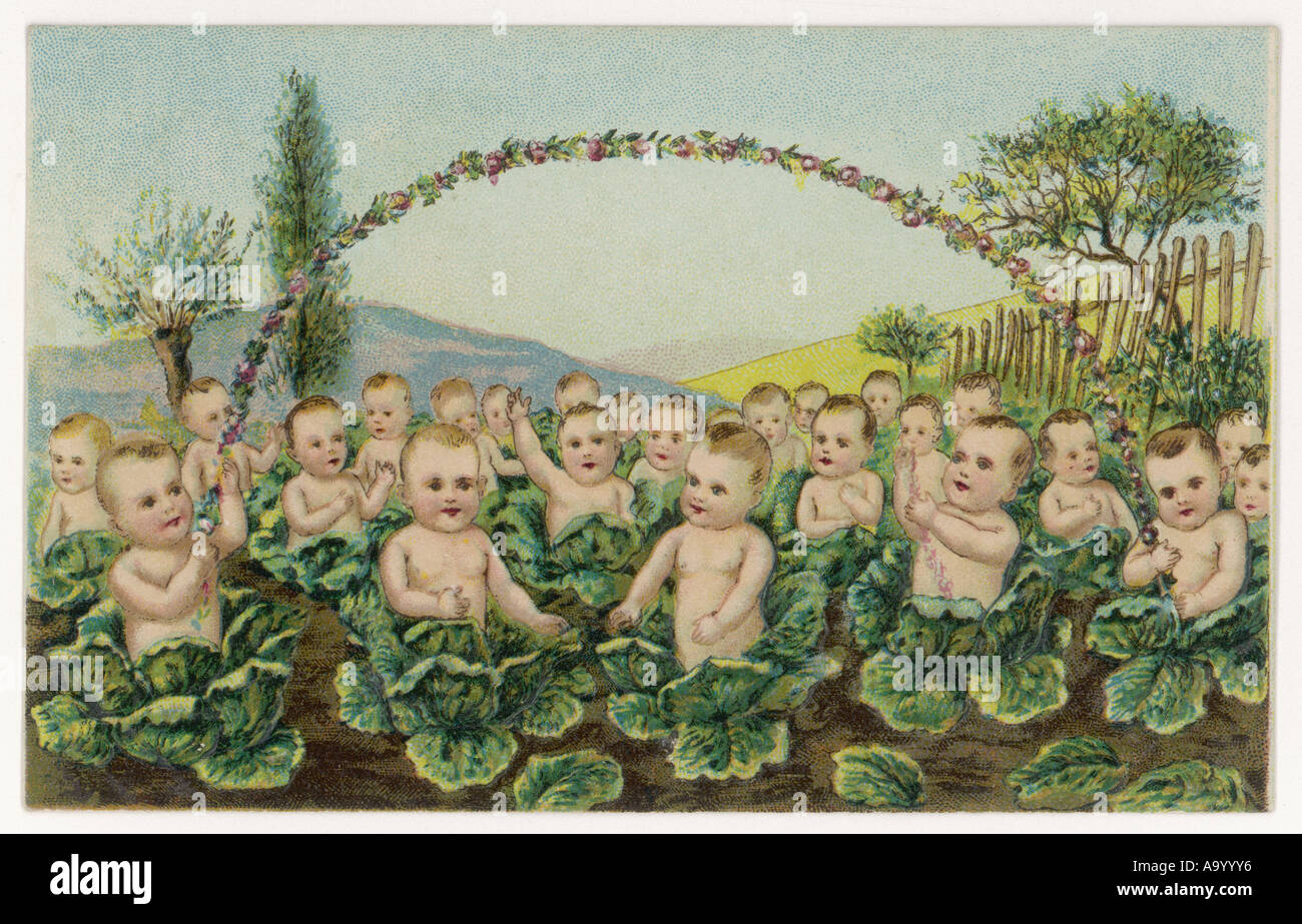 Babies come from cabbage patch deals
