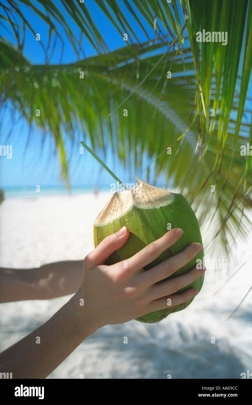 Womans hands holding coconut with straw for drinking Cancun Quintana