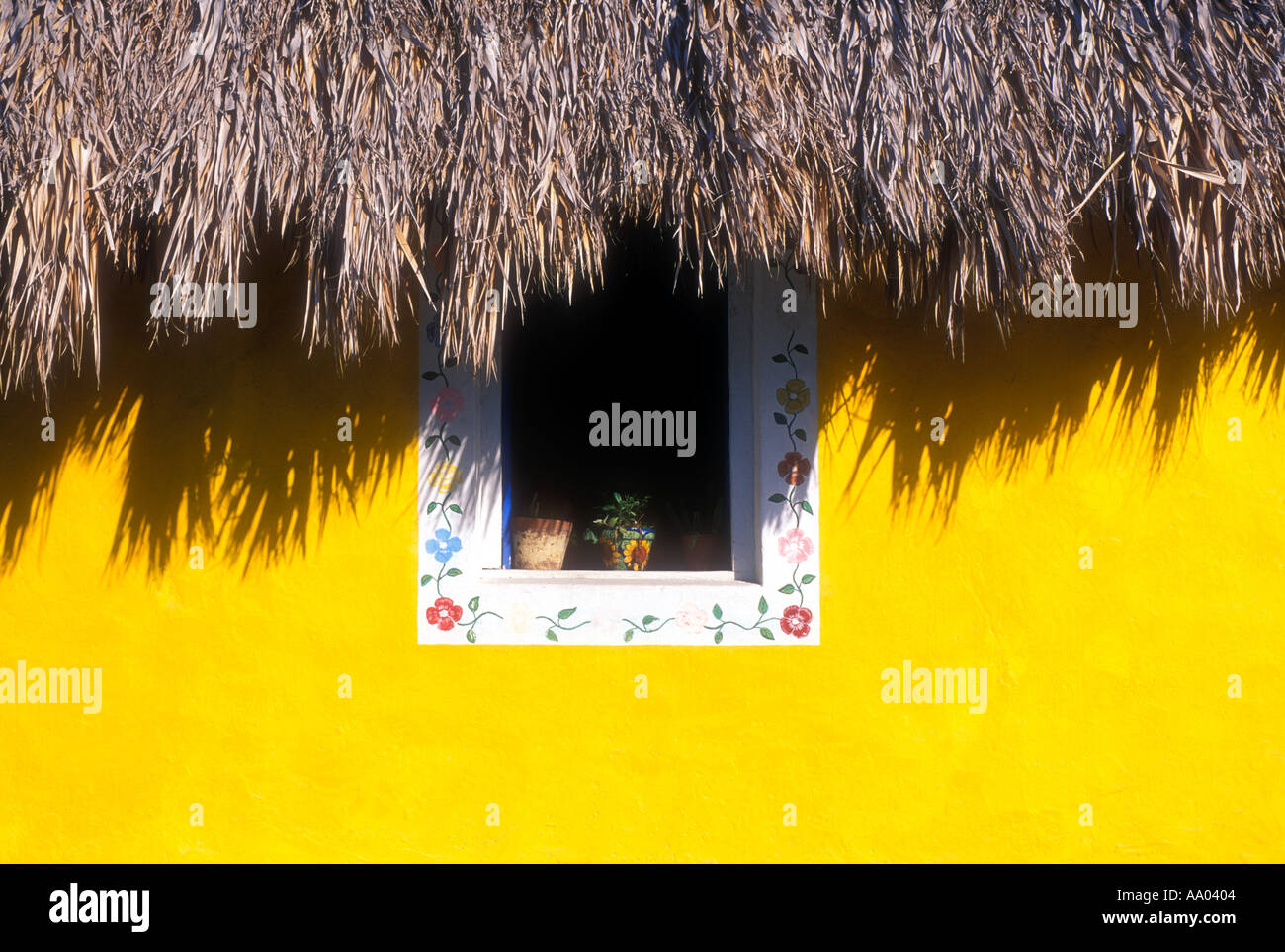 Window with plants in colorful yellow wall Yucatan Mexico Stock Photo ...