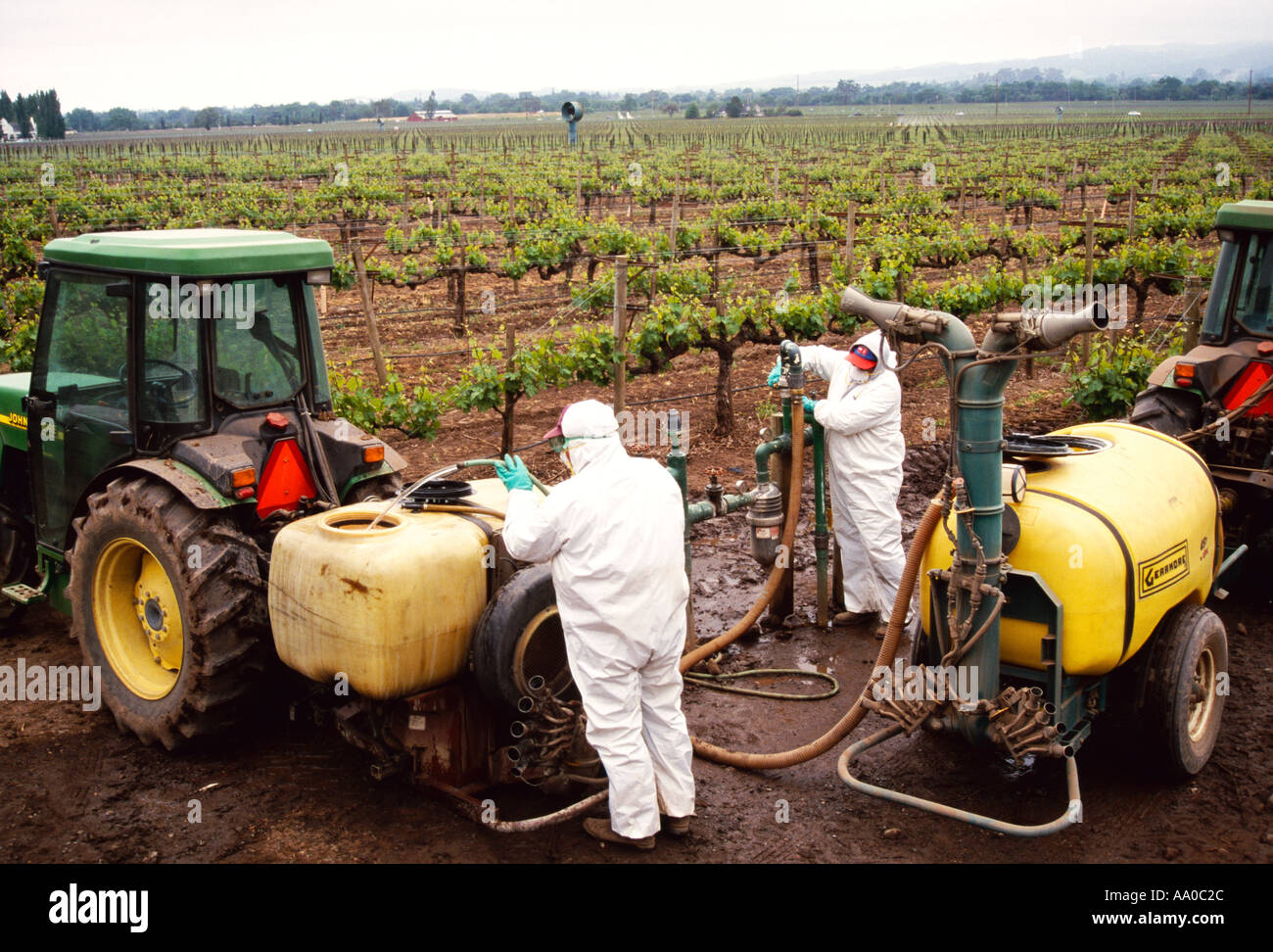 Field workers mix fungicide with water in the reservoirs on tractors