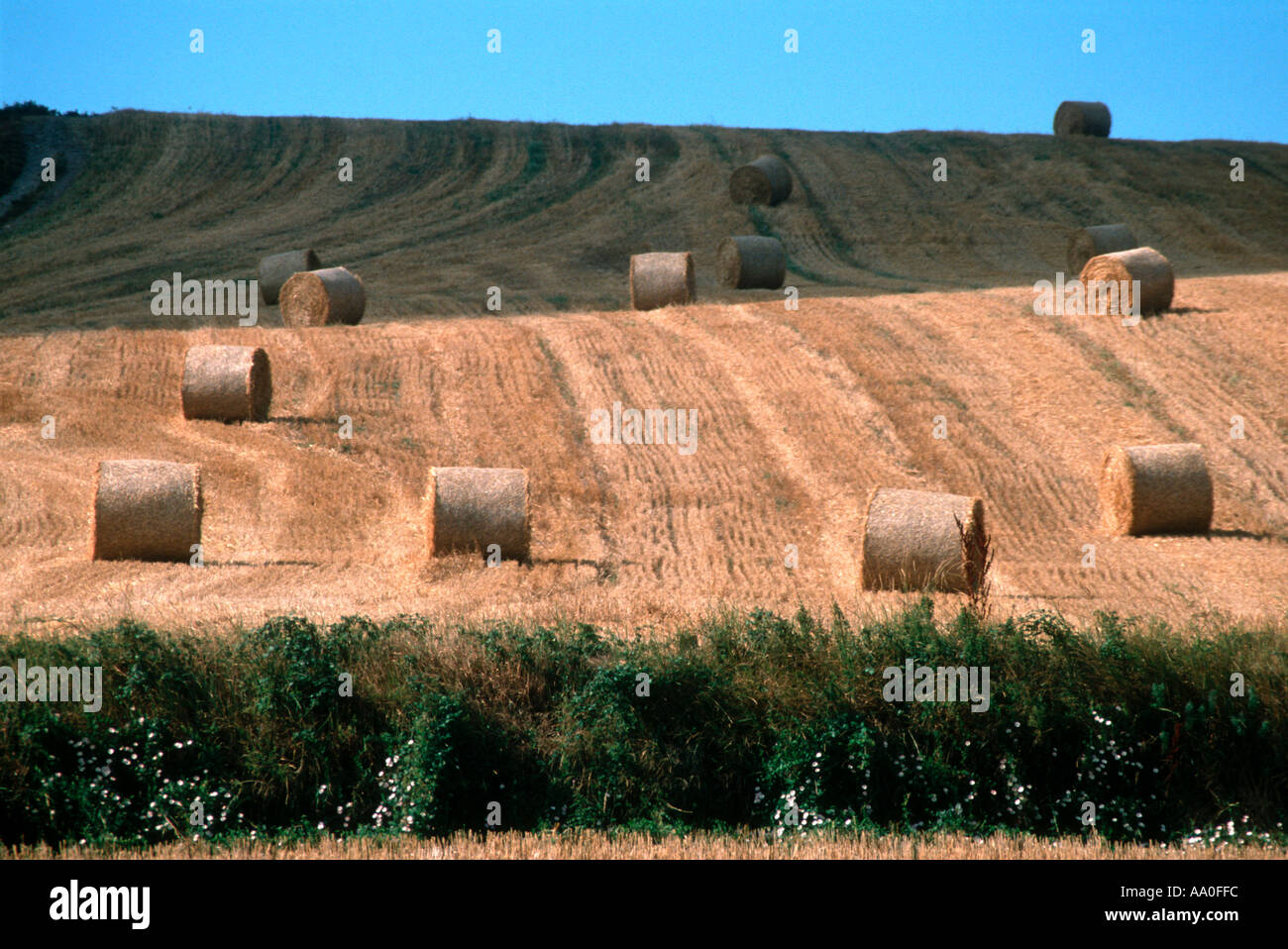 Devon farm hay bales hires stock photography and images Alamy
