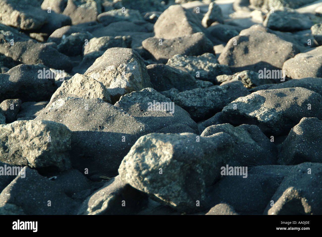 mit teer überzogene steine am elbe seiten kanal with tar covered stones to Elbe seiten channel Stock Photo
