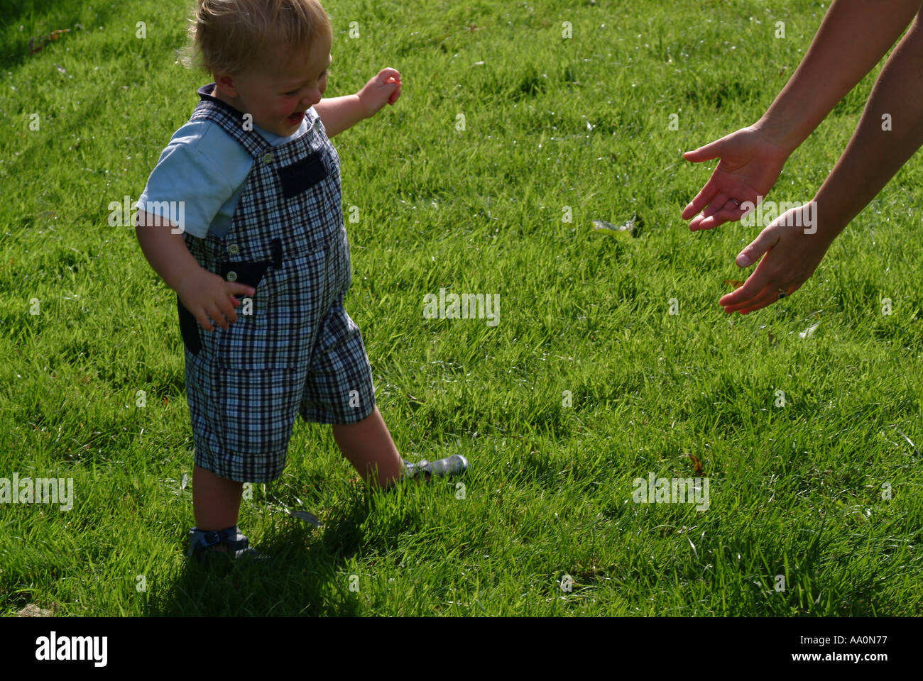 Toddler learning how to walk on the grass Stock Photo Alamy