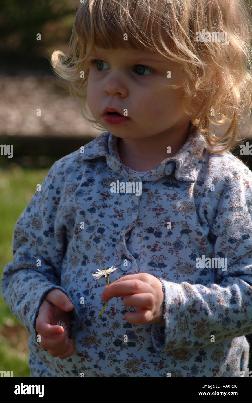 Portrait of a little girl holding a daisy Stock Photo - Alamy