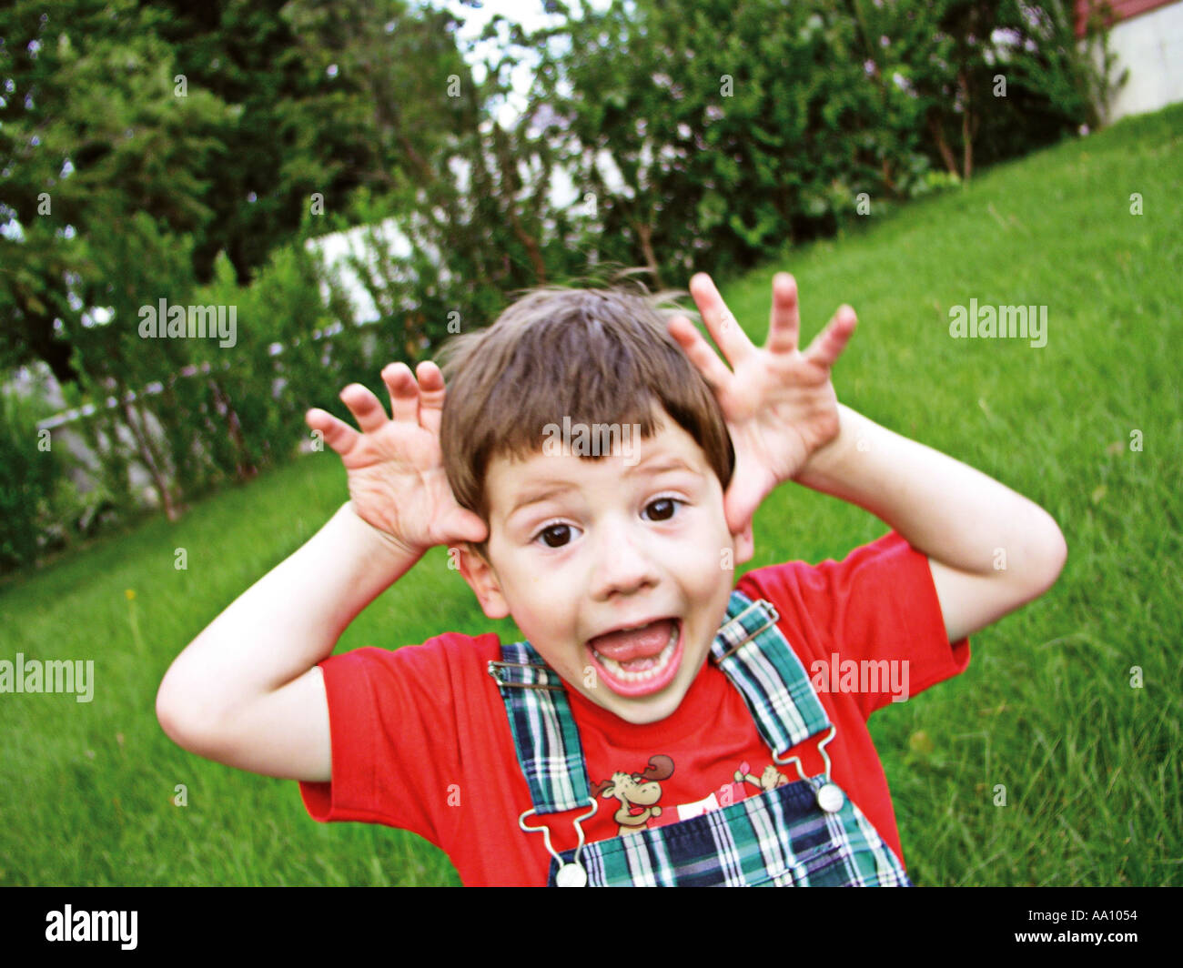 BOY MAKING MOOSE ANTLERS on a sunny day Photographed in Pennsylvania Stock Photo