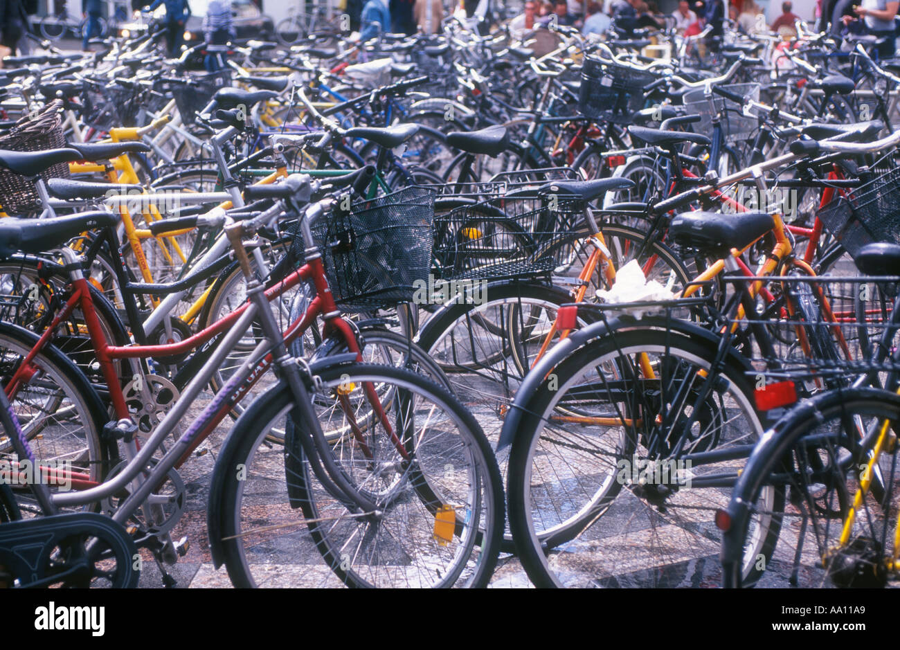 Bicycles in the tens hundreds and thousands in Copenhagen Denmark København Danmark by Steven Dusk Stock Photo