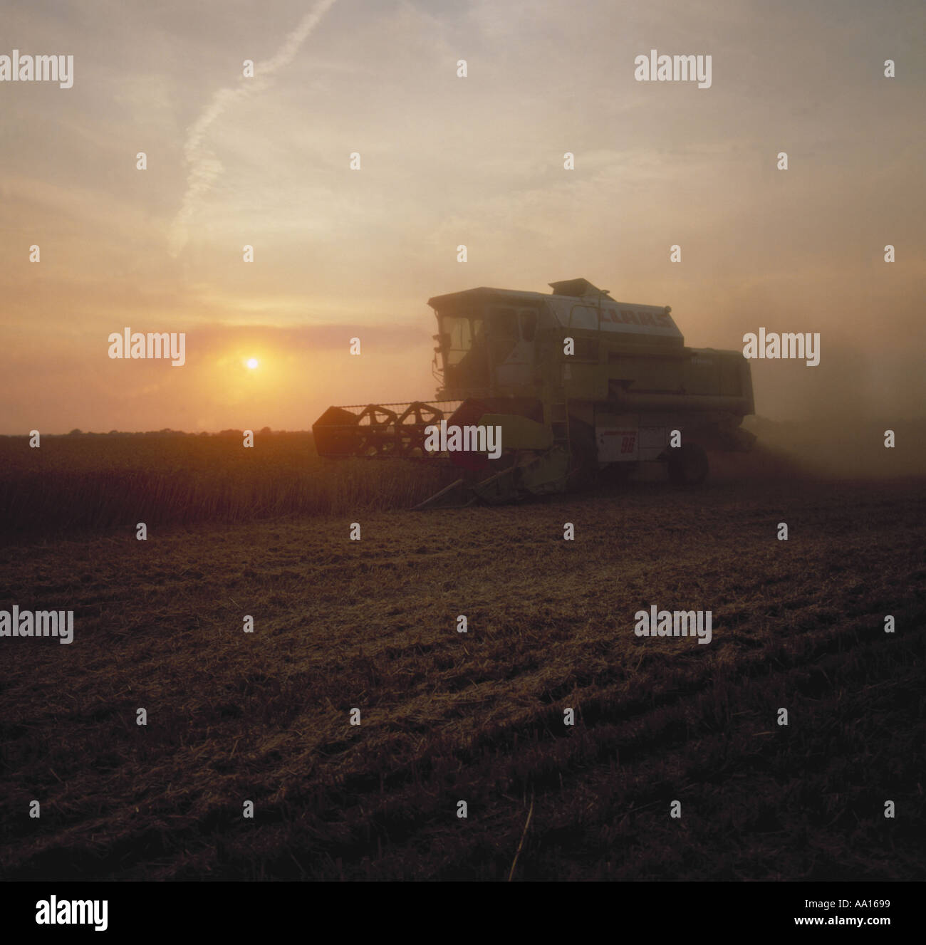 Combine harvesting late on a summer's evening with the sun setting ...
