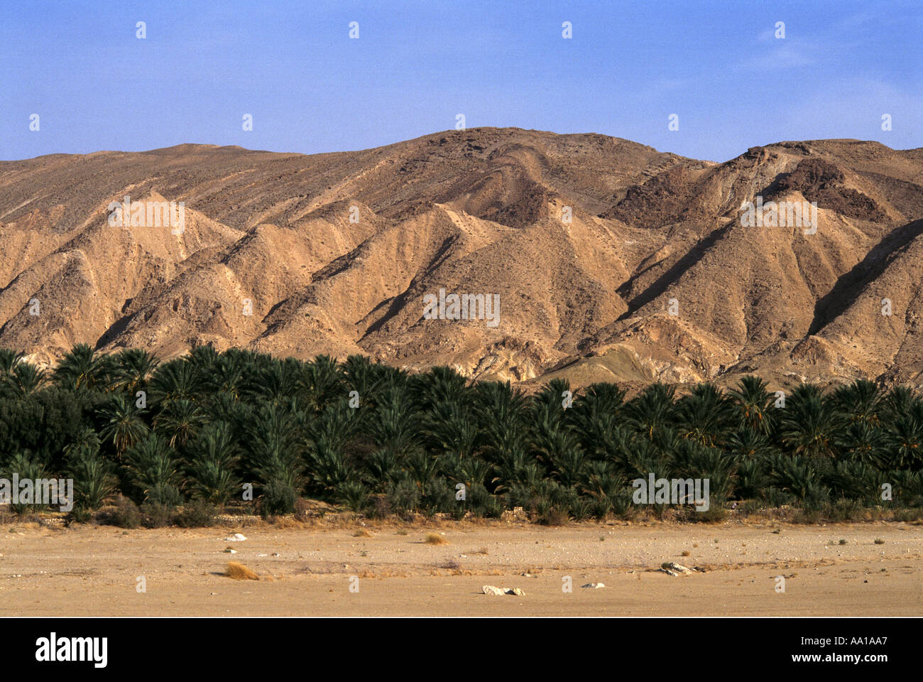 Tunisia Oasis Chebika Region Stock Photo - Alamy