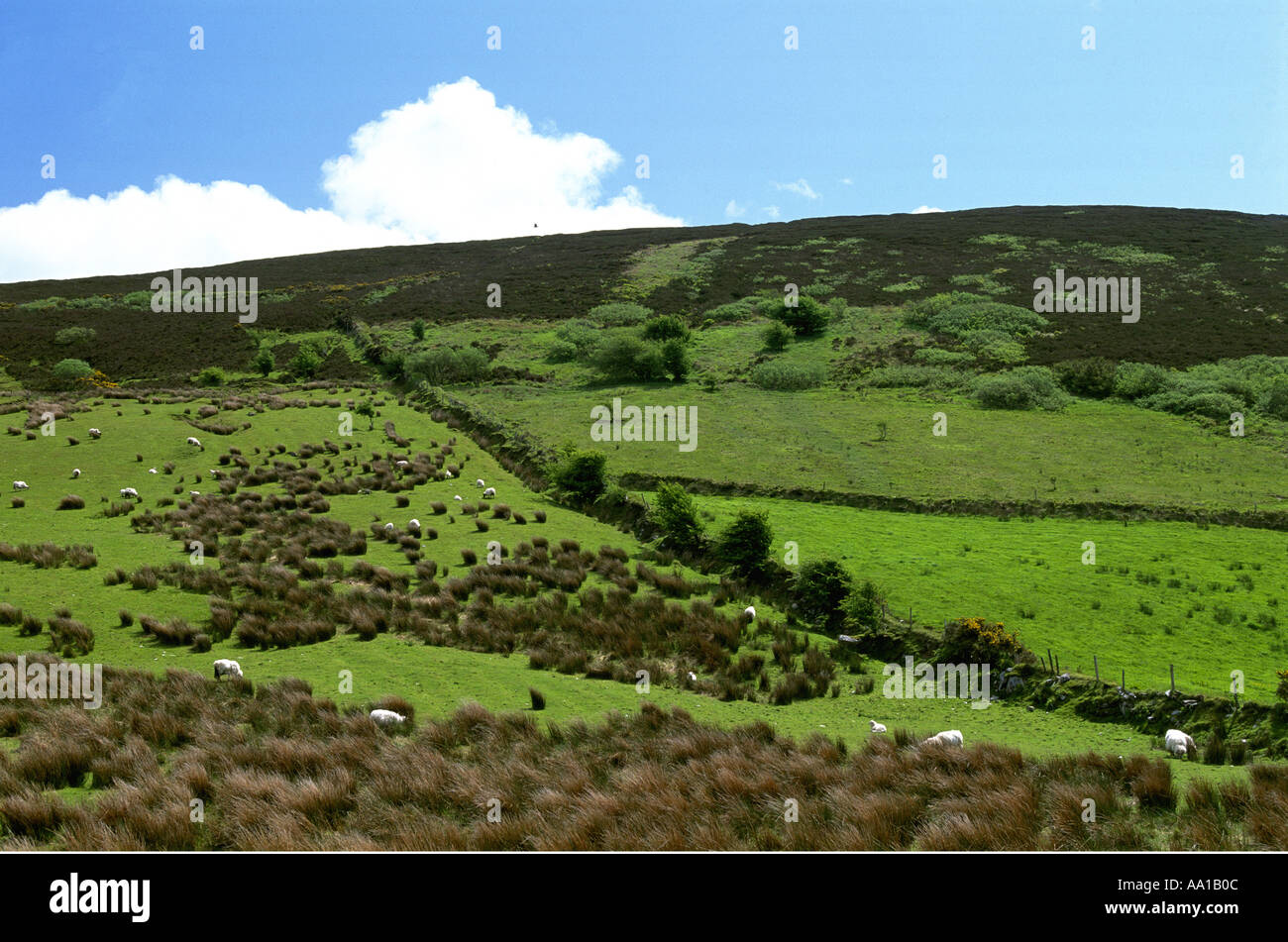 Irl049 hires stock photography and images Alamy