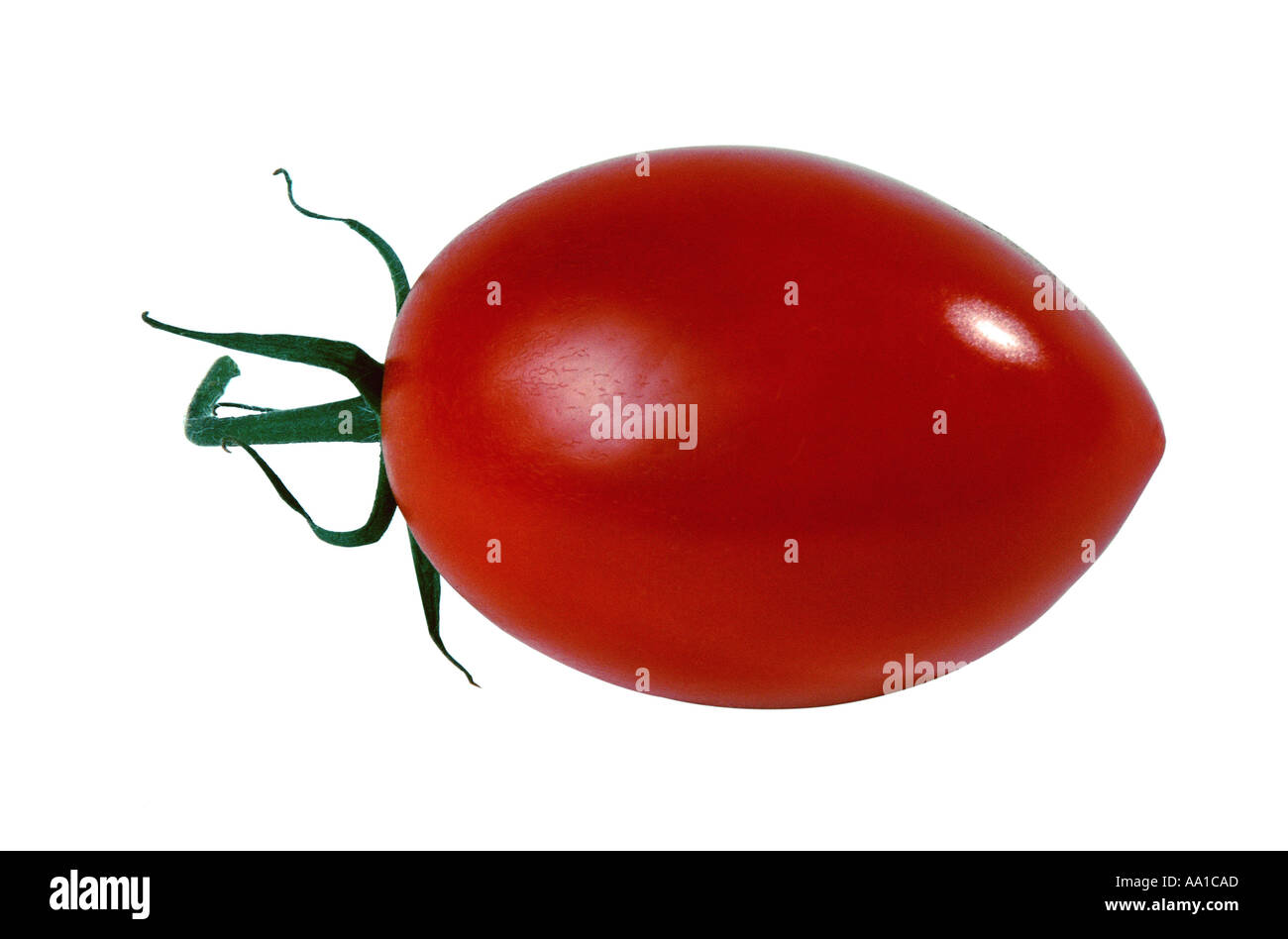 V287 hires stock photography and images Alamy