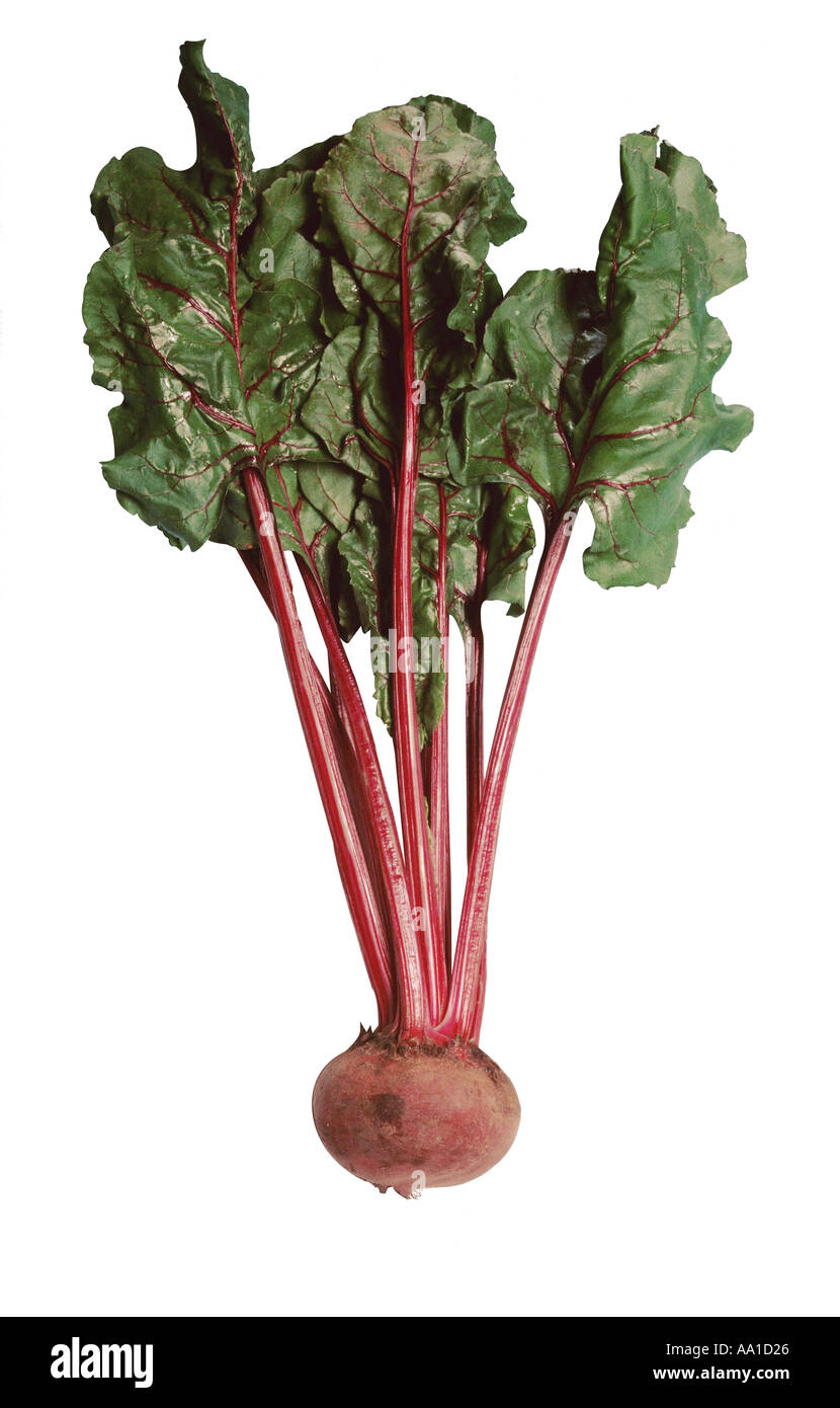 Vert et or Cut Out Stock Images & Pictures - Alamy