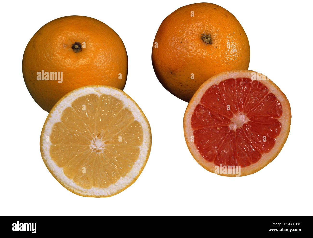 orange-blood-orange-stock-photo-alamy