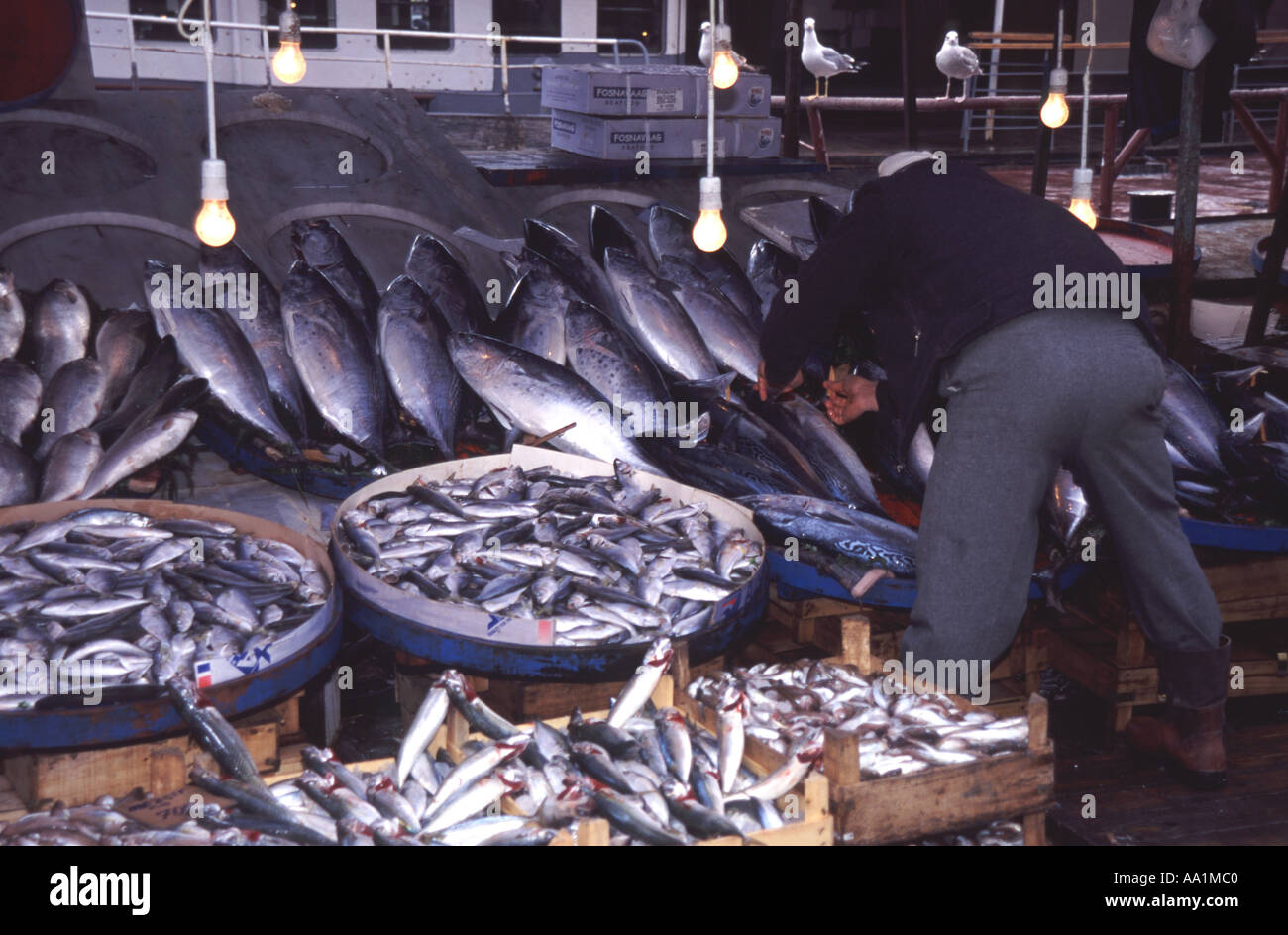 ISTANBUL Fish market by the Golden Horn Stock Photo - Alamy