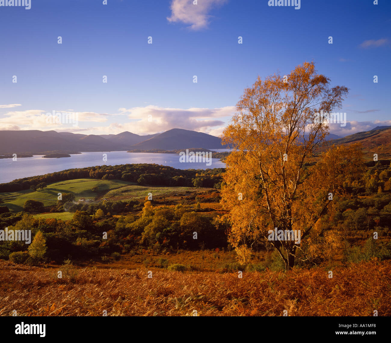 The Bonnie Banks of Loch Lomond, from near Balmaha,Stirling, Scotland, UK Stock Photo
