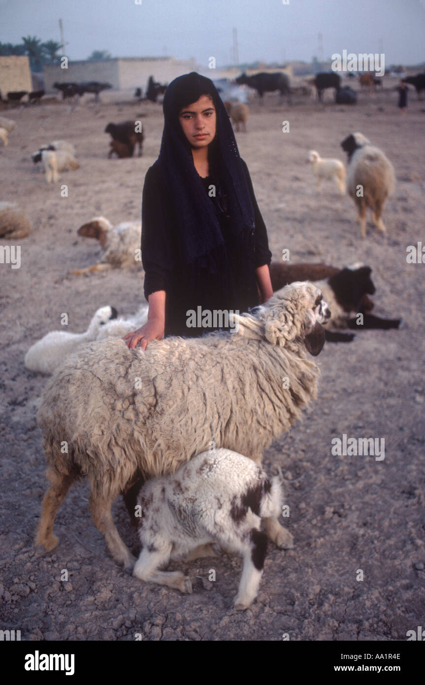 Marsh Arab Iraq a young girl tends her flock sheep banks of the Euphrates. Adobe  house home background. Marshes of Mesopotamia 1984 1980s HOMER SYKES Stock Photo