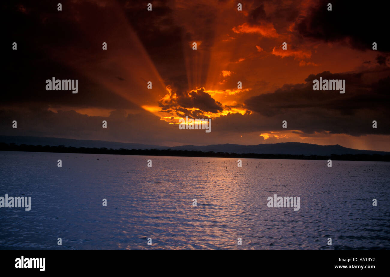 Sunset On Lake Naivasha Kenya Africa Stock Photo Alamy sunset-on-lake-naivasha-kenya-africa-stock-photo-alamy