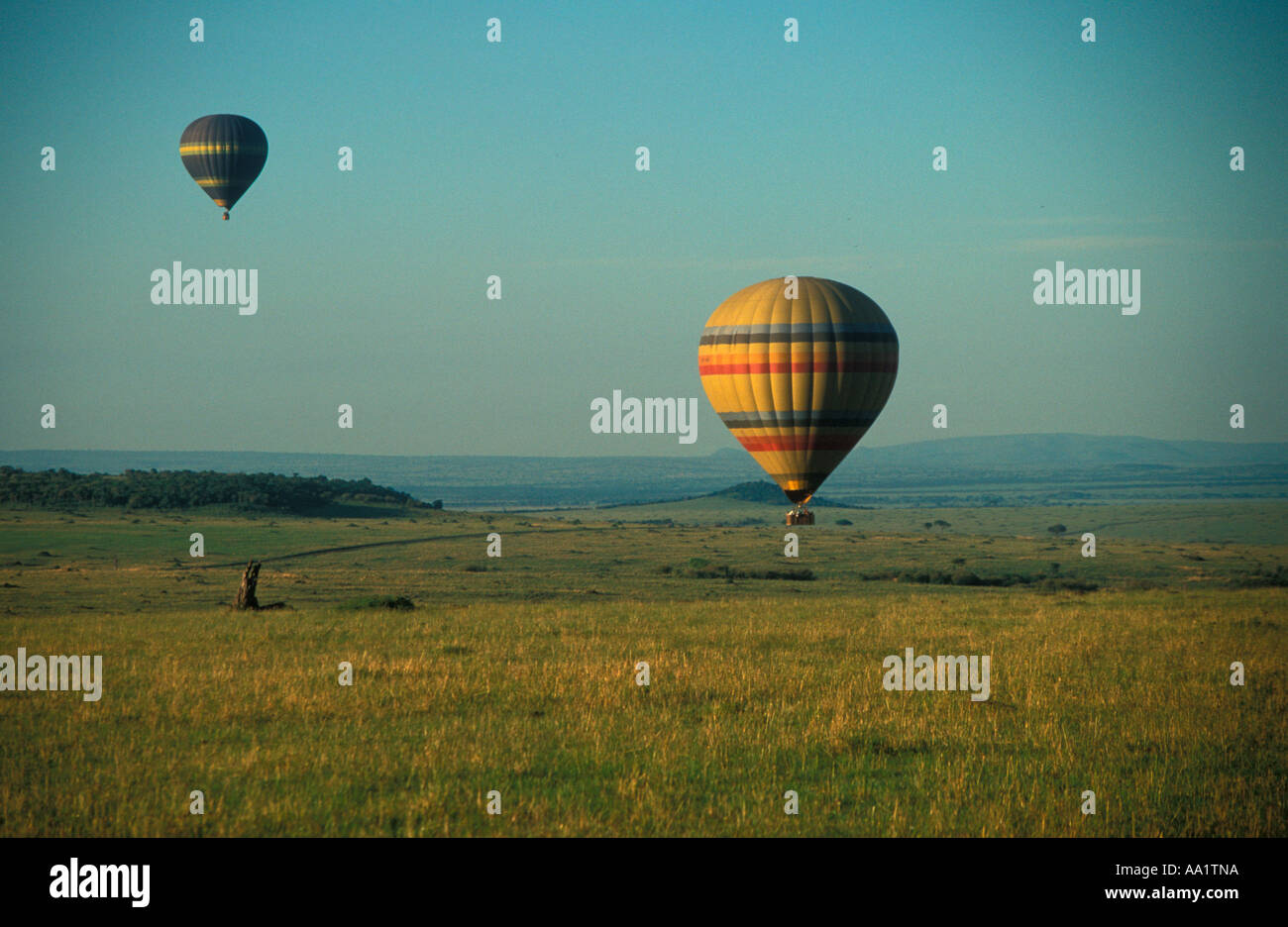 Hot air balloon safari Masai Mara Kenya Africa Stock Photo Alamy
