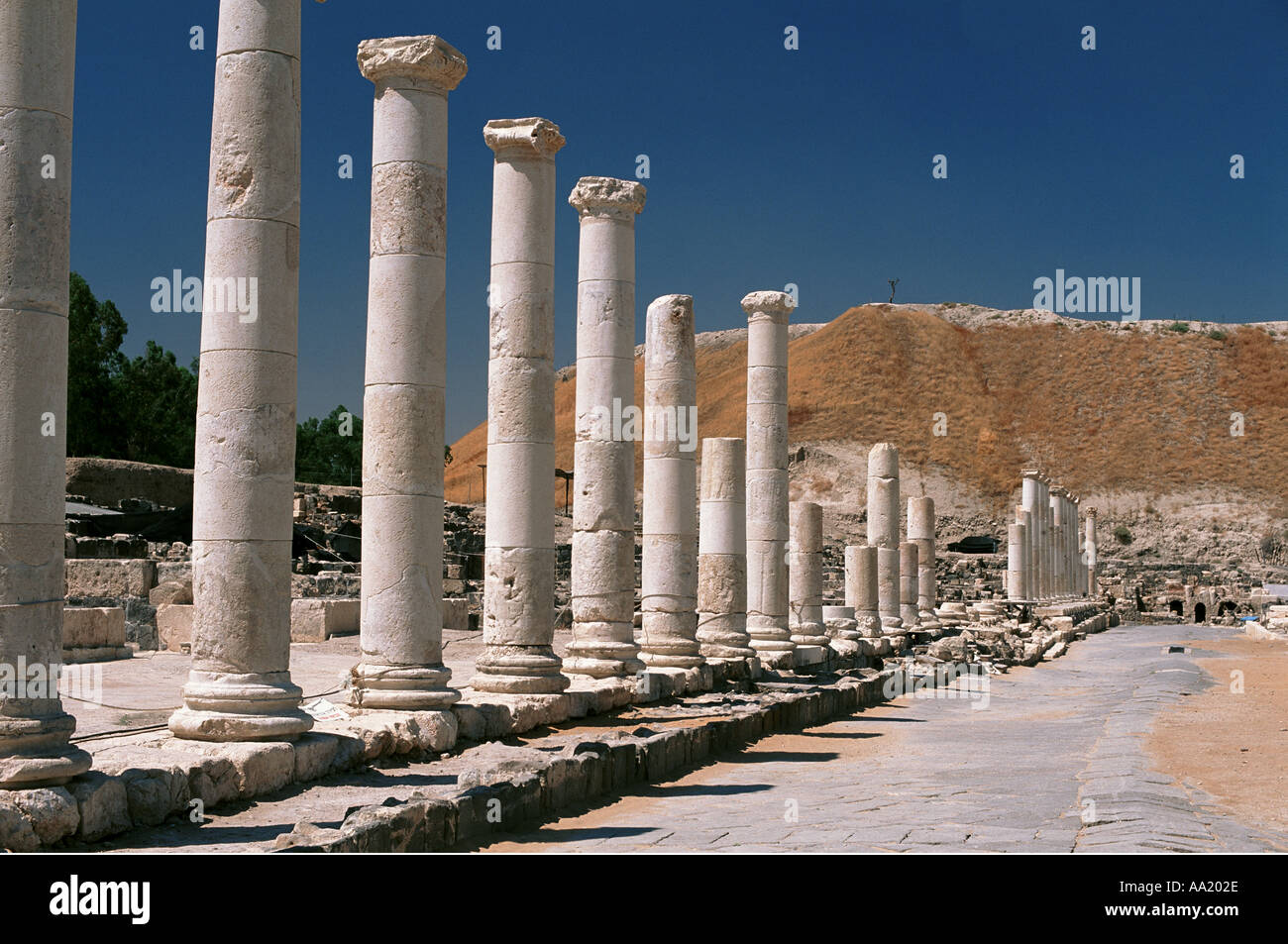 Israel Beit She An Stock Photo - Alamy