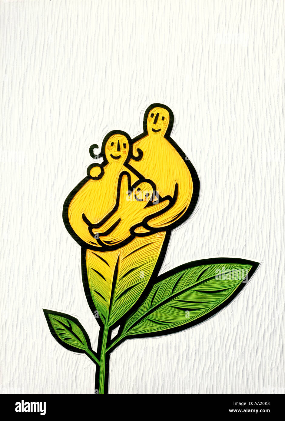 wood engraving illustration of leaf family Stock Photo Alamy