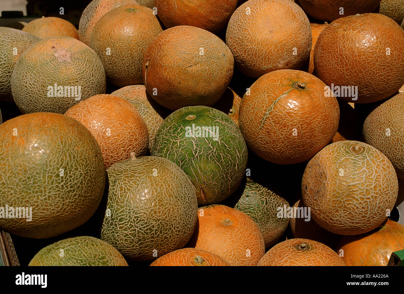 Israel Melons Stock Photo - Alamy