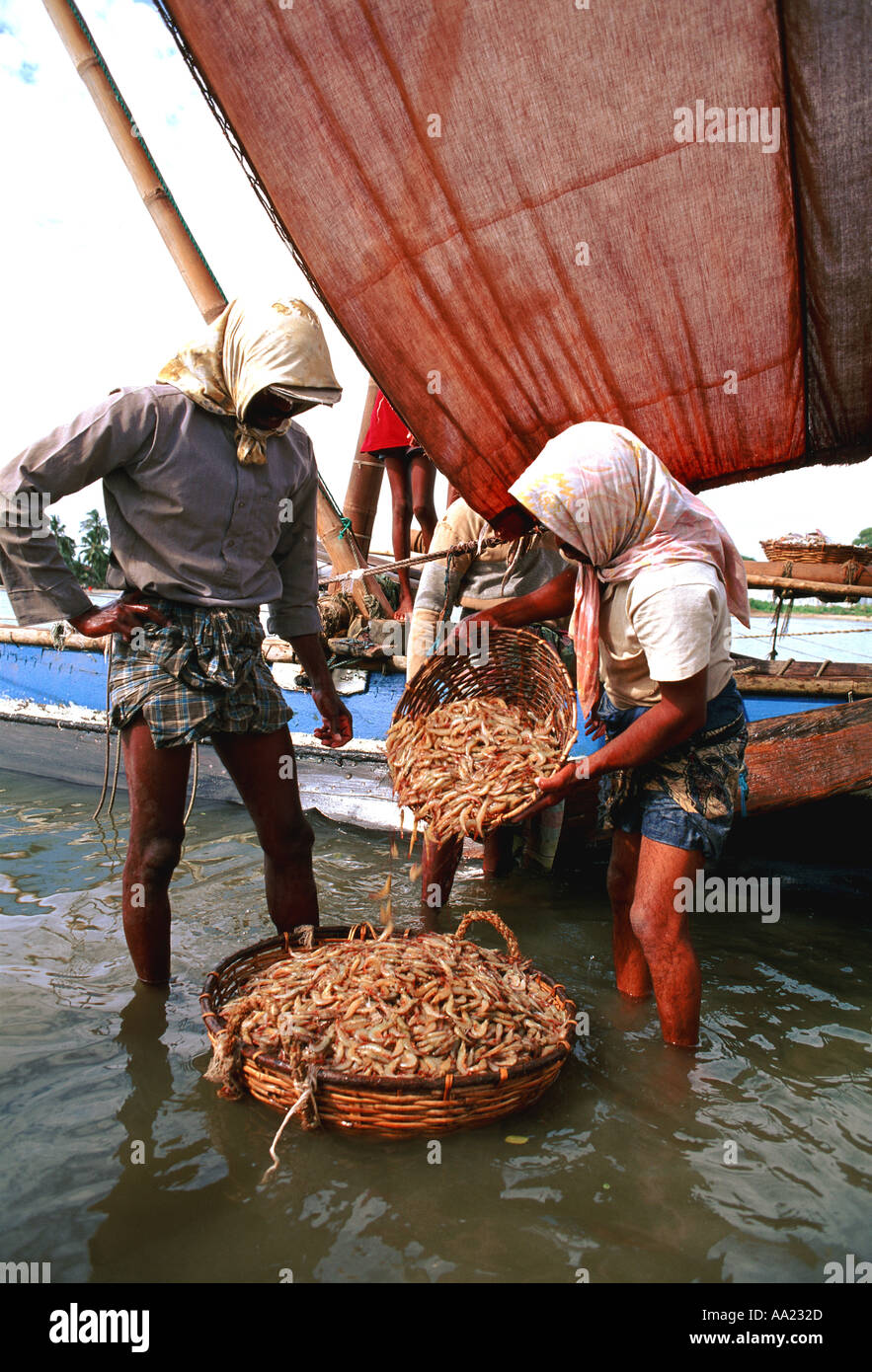 Sri Lanka Negombo Stock Photo - Alamy