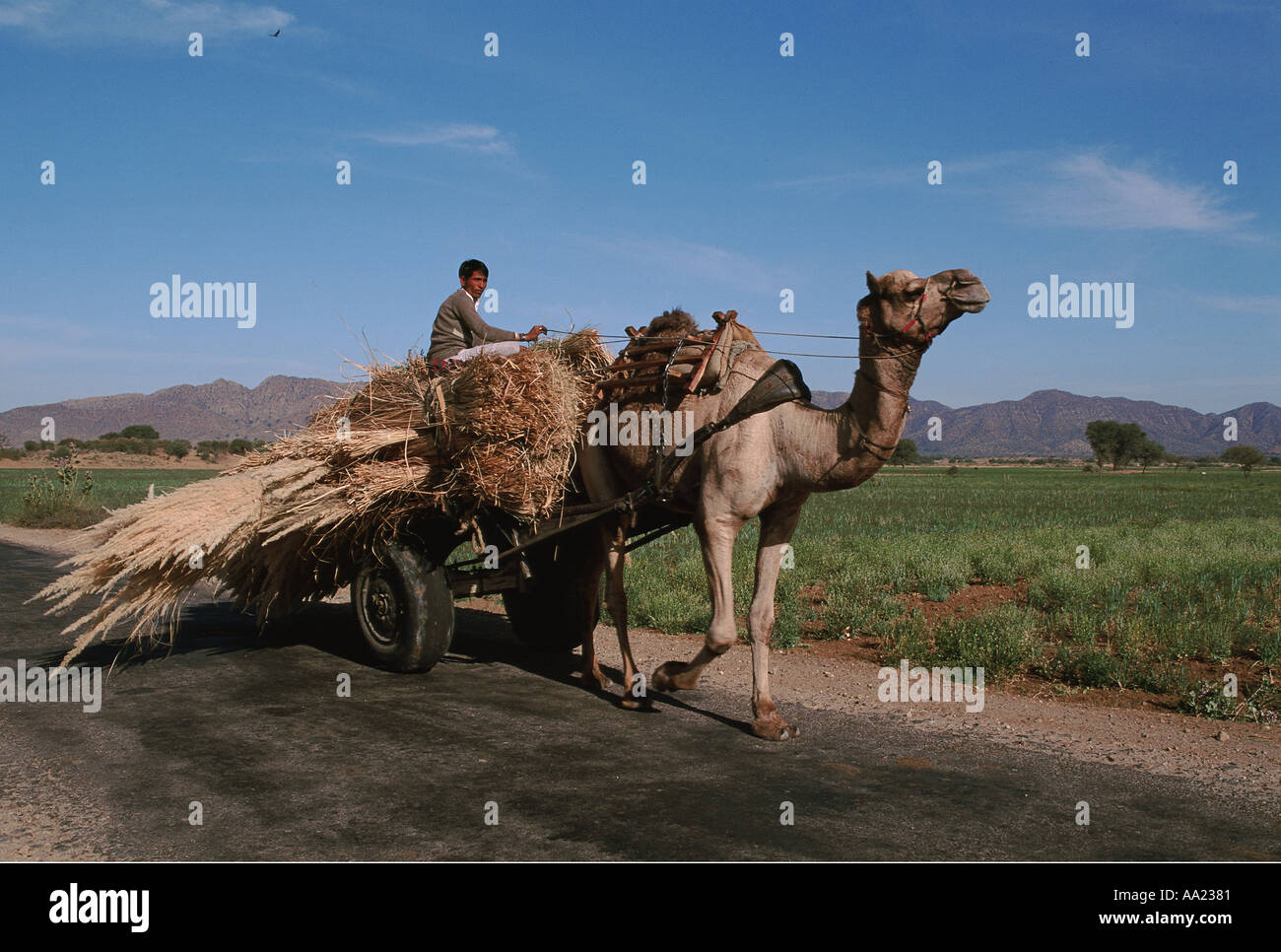India Rajasthan Ajner Stock Photo - Alamy