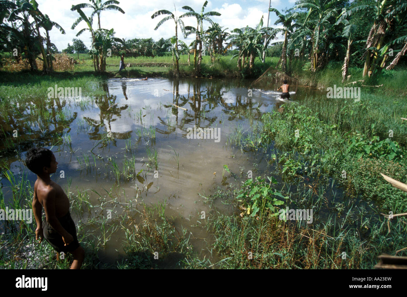 Bangladesh Fish Farming Stock Photo
