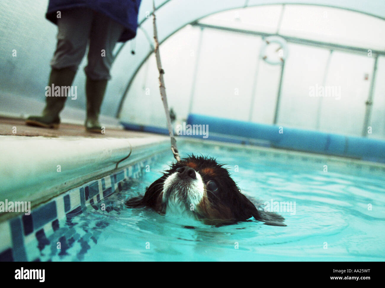 Hydrotherapy hires stock photography and images Alamy