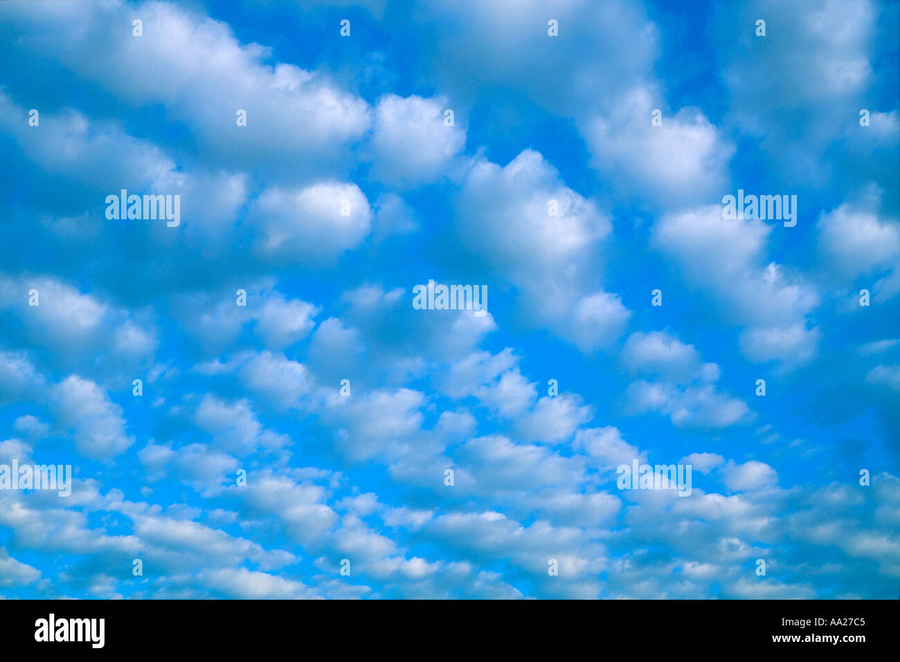 Fluffy white clouds in a blue summer sky Stock Photo - Alamy