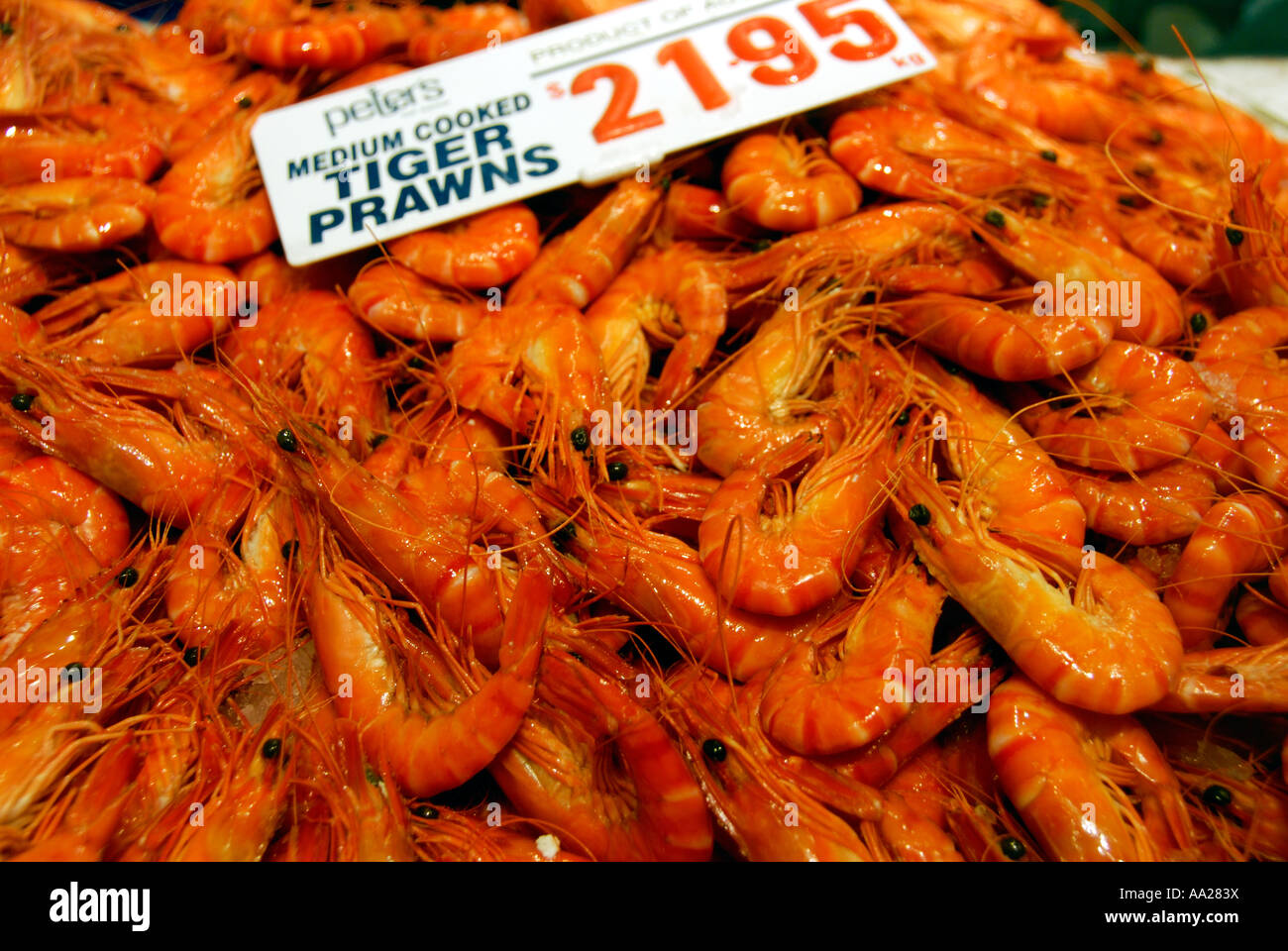 A display of Tiger Prawns Stock Photo Alamy