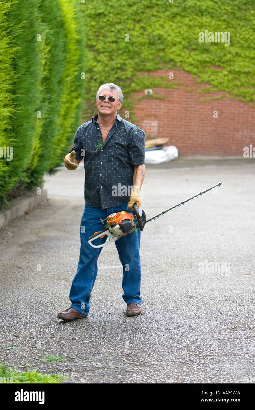 Man cutting hedge with chainsaw Stock Photo Alamy